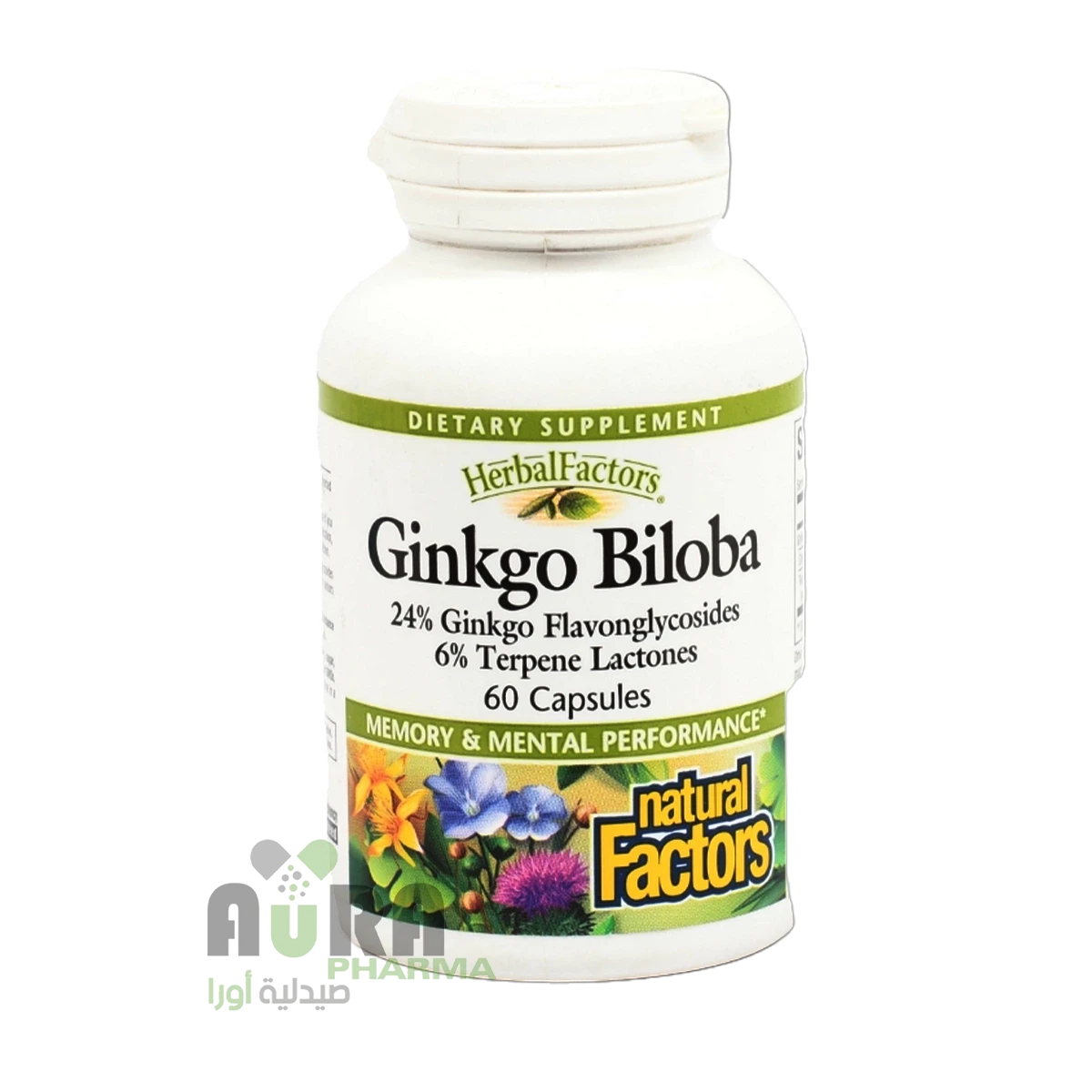 جينكوجلوبا 60كبسولة ناشيرل فاكتور