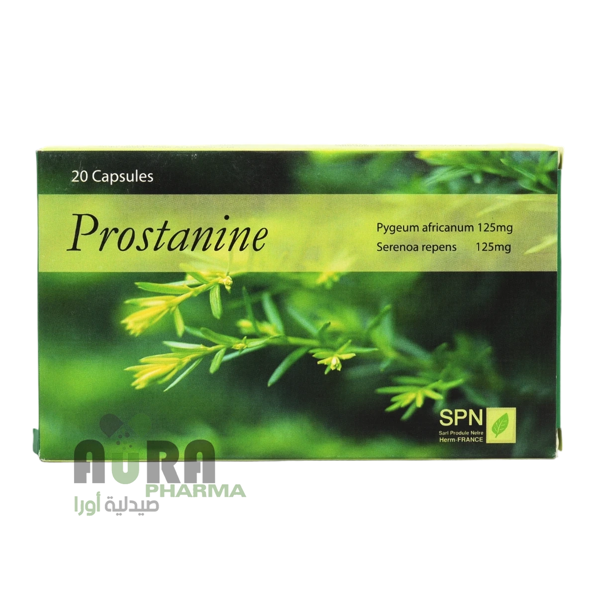 بروستانين اقراص امير الدين